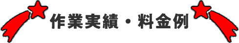 作業実績・料金例
